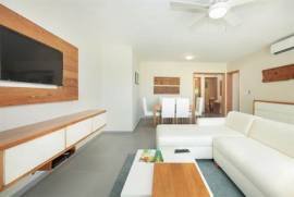3BR Punta Blanca Penthouse