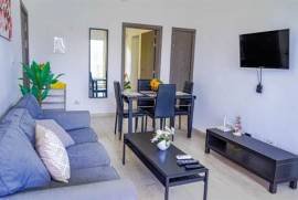 Paseo del Mar 2 BR pool view condo